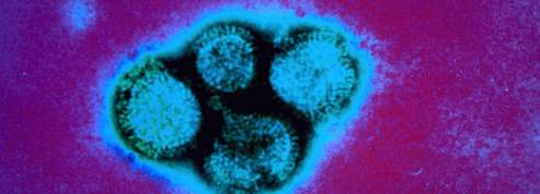 La gripe:¿una vacuna de por vida?
